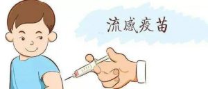 流感疫苗來了！哪些人群優先接種？接種注意事項有哪些？