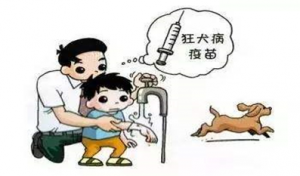 狂犬病：知真相 不恐狂