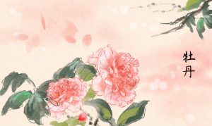 四月，牡丹花綻放|金迪克2022年4月優秀質量獎獲得者風采展示